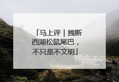马上评｜拽断西湖松鼠尾巴，不只是不文明